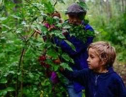 a young visitor examines berries on a bush with an adult and leafy trees in the background